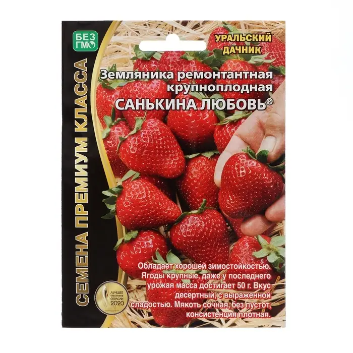 Семена Земляника ремонтантная &laquo;Санькина любовь&raquo;, крупноплодная, 6 шт.