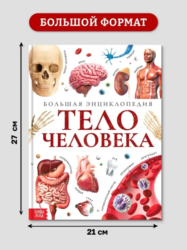 Энциклопедия в твёрдом переплёте &laquo;Строение тела человека&raquo;, 128 стр.
