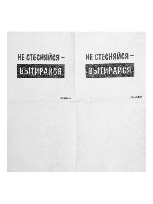 Салфетки бумажные однослойные &laquo;Не стесняйся-вытирайся&raquo;, 24&times;24 см, набор 100 шт.