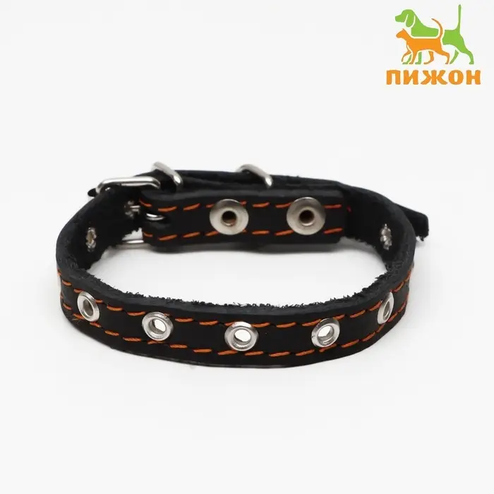 Ошейник кожаный однослойный, безразмерный, 37&times;1.5 см, ОШ 21-32 см, чёрный