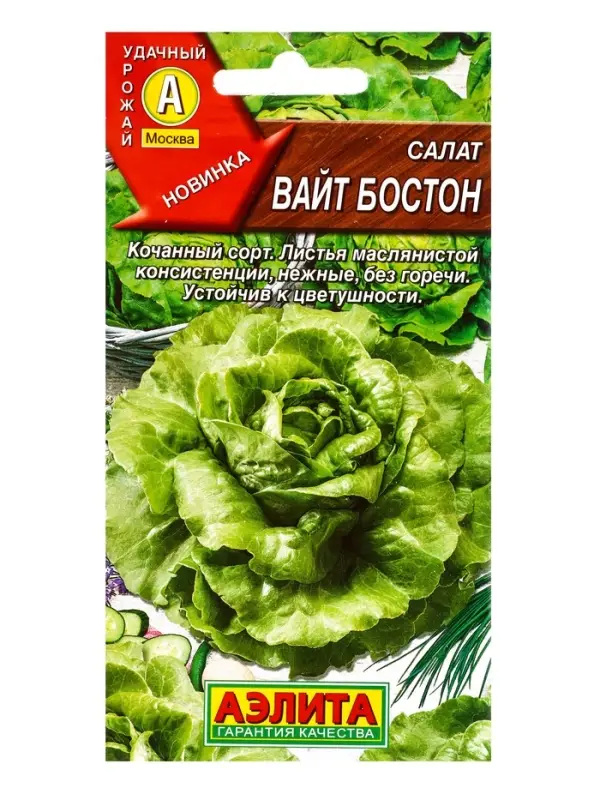 Семена Салат Вайт бостон, Ц/П,0,5 г Семена Салат Вайт бостон, Ц/П,0,5 г