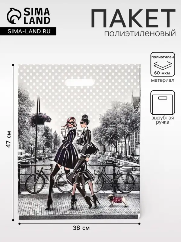 Пакет &laquo;Подружки&raquo;, полиэтиленовый с вырубной ручкой, 38&times;47 см, 60 мкм