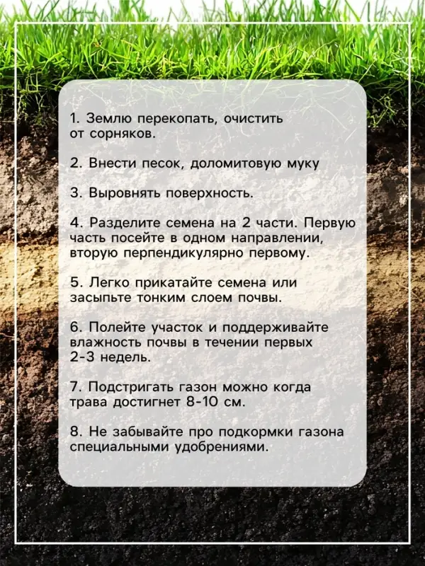 Газонная травосмесь &laquo;Универсальный&raquo; 0.5 кг