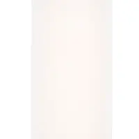 Клеевая пластина от крыс SAFEX с запахом арахиса, 1 шт.