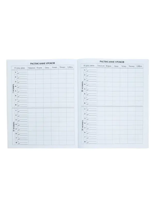 Дневник школьный для 1-11 классов, &laquo;Кеды&raquo;, мягкая обложка, 40 листов