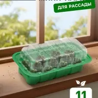 Мини - парник для рассады, 24&times;12&times;11 см, 11 ячеек под таблетки для рассады d=3 см, пластик, Greengo