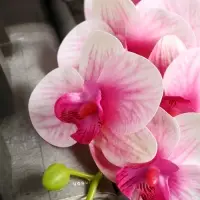 Цветы искусственные &laquo;Орхидея экстра галант&raquo;, h=60 см, d=8 см, розовые