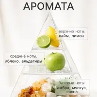 Диффузор ароматический с палочками Nero Astra, 50 мл
