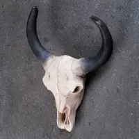 Настенный декор TAKE IT EASY &laquo;Череп&raquo;, панно декоративное, 26&times;10&times;20 см