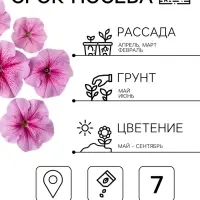 Семена цветов Петуния &laquo;Дэдди&raquo; F1, пепперминт, 7 шт., PanAmerican, &laquo;АЭЛИТА&raquo;