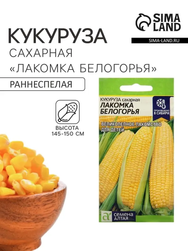 Семена Кукуруза сахарная &laquo;Лакомка Белогорья&raquo;, 5 г, &laquo;Семена Алтая&raquo;