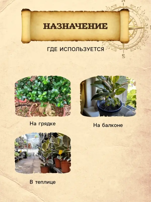 Грунт для Пальм и Фикусов PETER PEAT, линия &laquo;Хобби&raquo;, 2.5 л