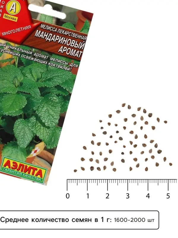 Семена Мелисса лекарственная &laquo;Мандариновый аромат&raquo;, 5 шт., &laquo;Аэлита&raquo;