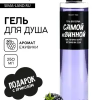 Гель для душа &laquo;Самой невинной&raquo;, 250 мл, аромат ежевики, Beauty Fox