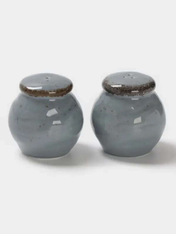 Набор для специй Magistro Alpine Frost, 2 предмета: перечница, солонка, 80 мл, 5&times;6 см, фарфор, голубовато-серый