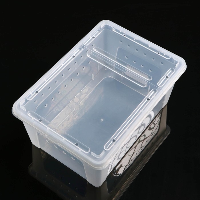 Переноска - отсадник для рептилий, 26 х 17,5 х 11,5 см Переноска - отсадник для рептилий, 26 х 17,5 х 11,5 см