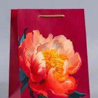 Пакет подарочный ламинированный &laquo;Пион&raquo;, бордовый, 18&times;22.3&times;10 см