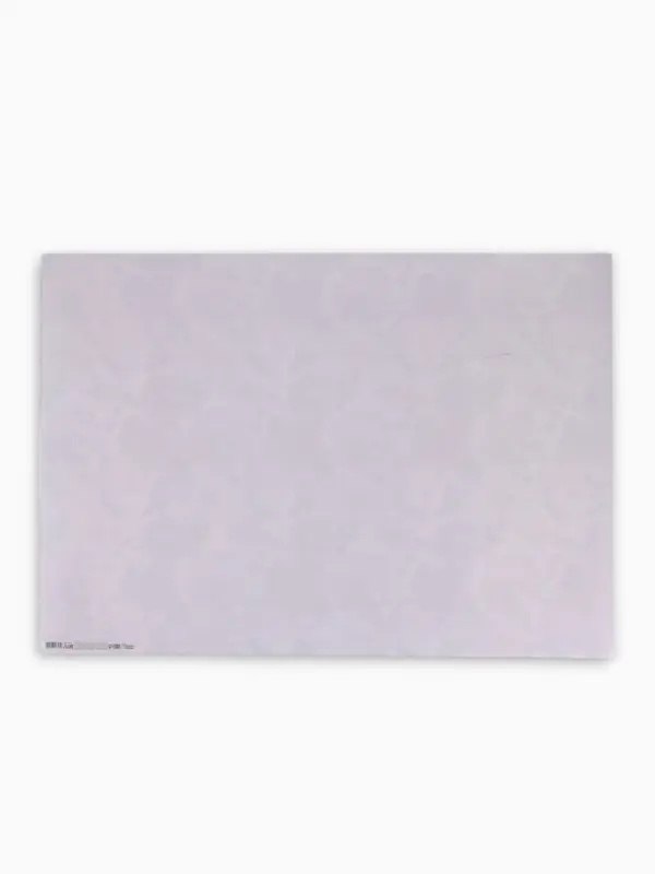 Бумага упаковочная глянцевая двухсторонняя &laquo;Цветочный сад&raquo;, 70&times;100 см