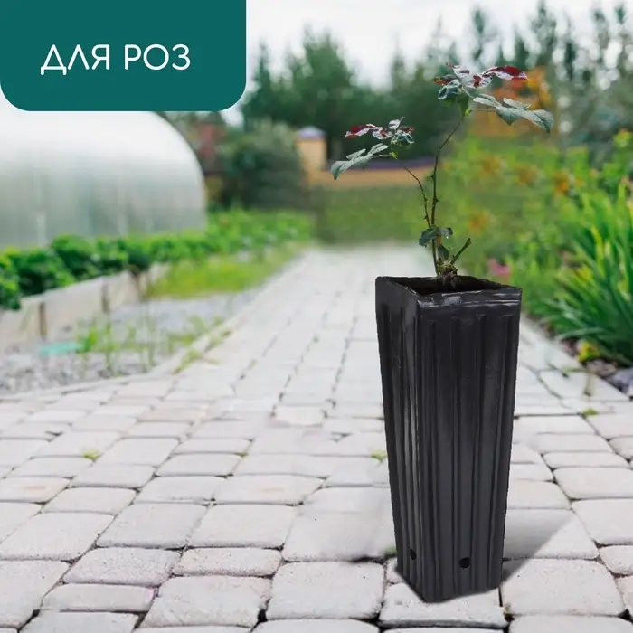 Пакет для рассады, 2.2 л, 10×10 см, h=29 см, полиэтилен, чёрный, Greengo