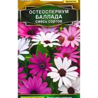 Семена цветов Остеоспермум Баллада,смесь сортов  Золотая серия, Ц/П,10 шт.