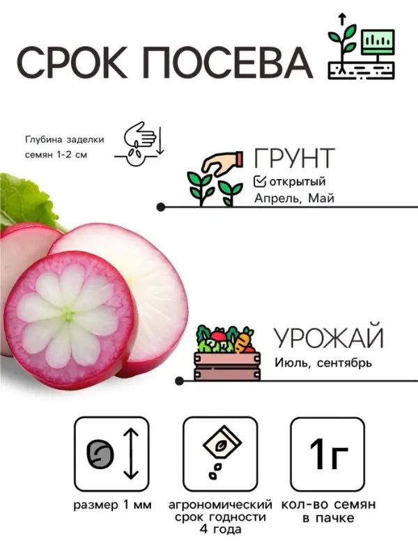 Семена Редька китайская &laquo;Рубиновый сюрприз&raquo;, 1 г, &laquo;Агрофирма АЭЛИТА&raquo;
