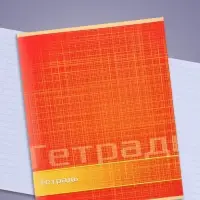 Тетрадь 48 листов в линейку Calligrata «Цвет и графика», обложка мелованная бумага, блок №2, белизна 75% (серые листы), МИКС