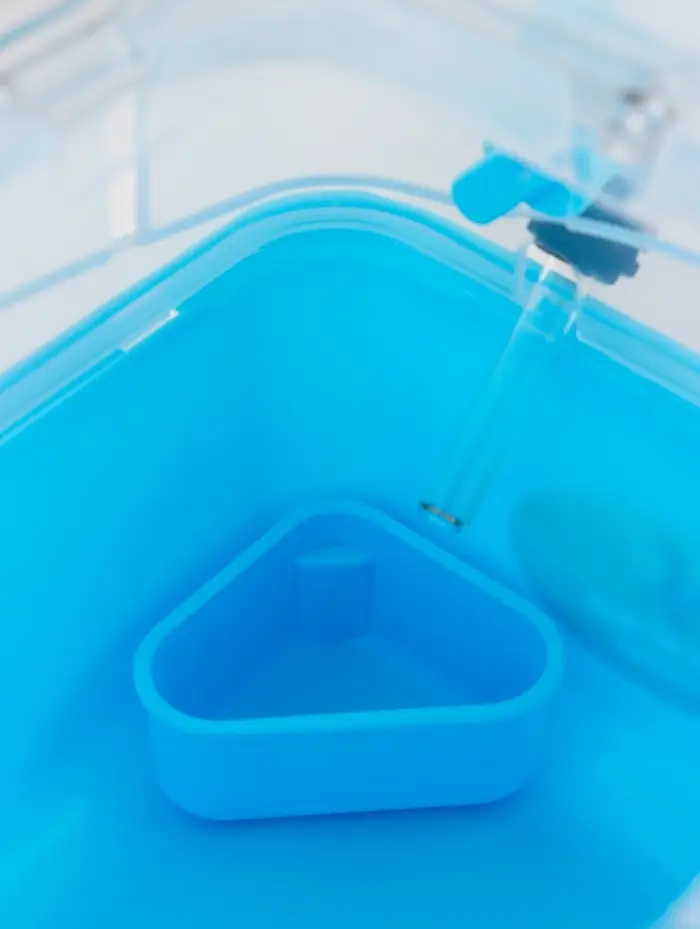 Клетка-переноска для грызунов, 23 х 17 х 16 см, бирюзовая Клетка-переноска для грызунов, 23 х 17 х 16 см, бирюзовая