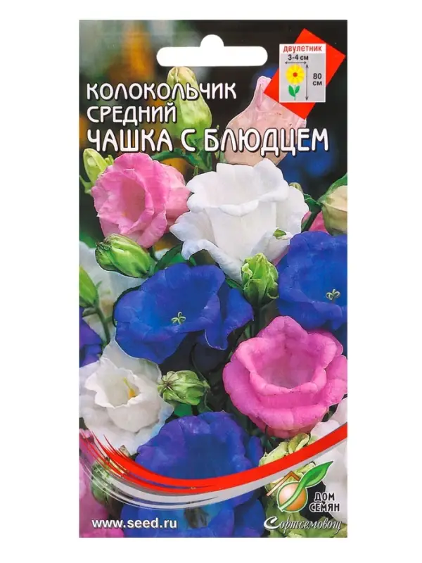 Набор семян Колокольчик многолетний &laquo;Чашка с Блюдцем&raquo;, 180 семян