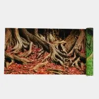 Фон для аквариума двухсторонний, 50 см &times; 15 м