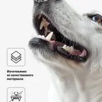 Игрушка для собак &laquo;Колючий шар&raquo; для собак, 9 см, пищащая, винил, фиолетовая