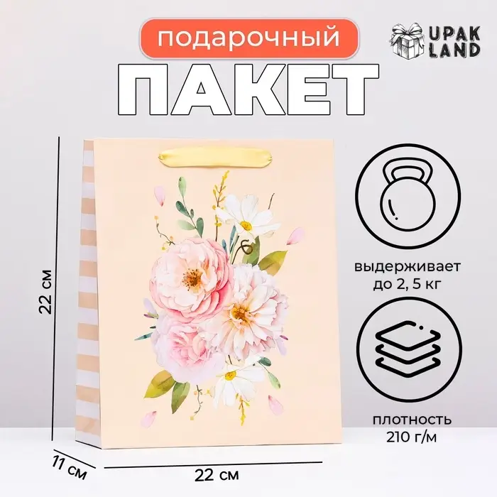 Пакет ламинированный &laquo;Цветочная геометрия&raquo;, 22&times;22&times;11 см