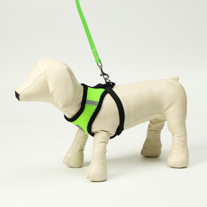 Комплект амуниции с мягкой шлейкой и светоотражающей нашивкой, XL, ОШ 40 см, ОГ 46-60 см, зелёный, 7 Комплект амуниции с мягкой шлейкой и светоотражающей нашивкой, XL, ОШ 40 см, ОГ 46-60 см, зелёный, 7