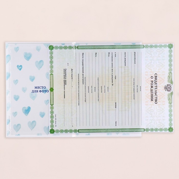 Папка под свидетельство о рождении Папка под свидетельство о рождении "Зайчик" голубой тон, А5