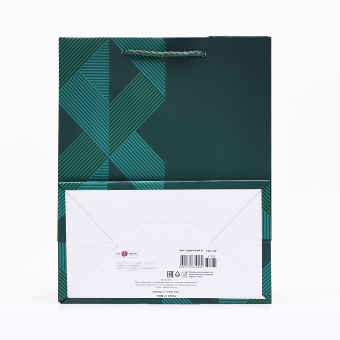 Пакет подарочный "Зелёный ромб", 18 х 22,3 х 10 см
