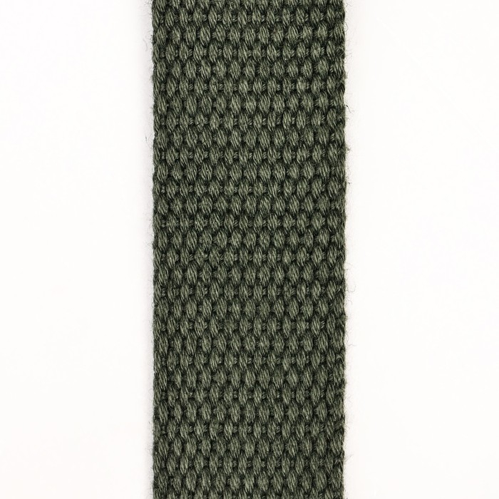 Поводок брезентовый 10 м х 2,5 см, тёмно-зелёный Поводок брезентовый 10 м х 2,5 см, тёмно-зелёный
