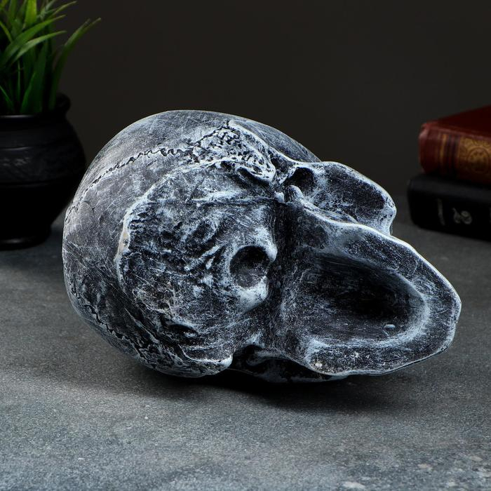 Копилка  Копилка "Череп" 16х13х22 см