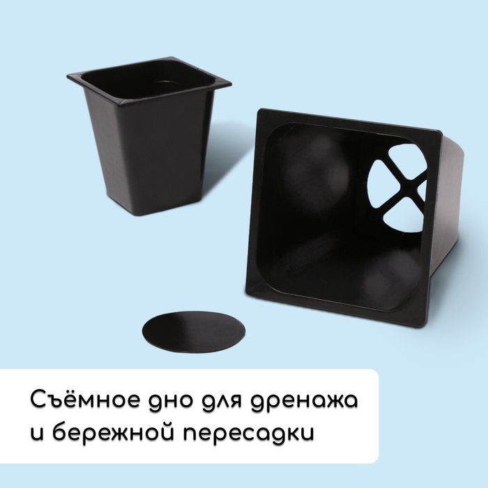 Набор для рассады: стаканы по 1 л (10 шт.), поддон 61 × 23 см, чёрный Набор для рассады: стаканы по 1 л (10 шт.), поддон 61 × 23 см, чёрный
