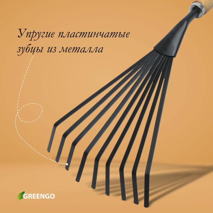 Грабли малые, веерные, пластинчатые, 9 зубцов, длина 42 см, металл, деревянная ручка с поролоном, Greengo Грабли малые, веерные, пластинчатые, 9 зубцов, длина 42 см, металл, деревянная ручка с поролоном, Greengo