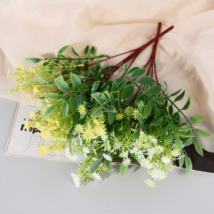 Букет Букет "Цикорий обыкновенный" 30 см, микс