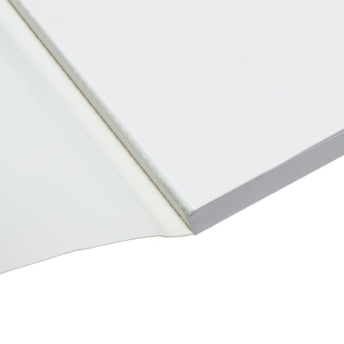 Альбом для рисования А4, 48 листов на склейке Calligrata TOP, обложка мелованный картон, выборочный УФ-лак, блок офсет 120г/м2 Альбом для рисования А4, 48 листов на склейке Calligrata TOP, обложка мелованный картон, выборочный УФ-лак, блок офсет 120г/м2