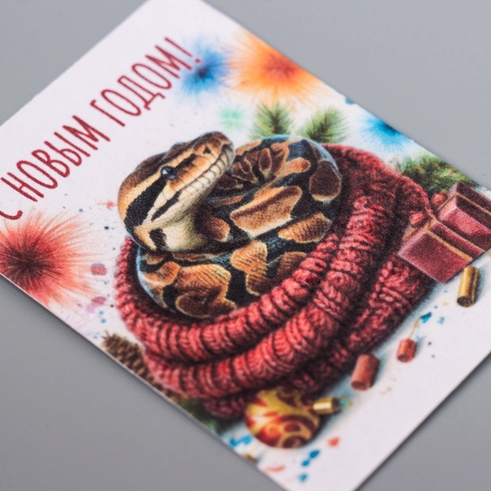 Набор открыток с семенами  Набор открыток с семенами "Вырасти сам" "Змеи" 5*7см