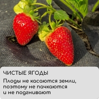 Материал мульчирующий, 5 × 1.6 м, плотность 60 г/м², спанбонд с УФ-стабилизатором, чёрный, Greengo, Эконом 30%