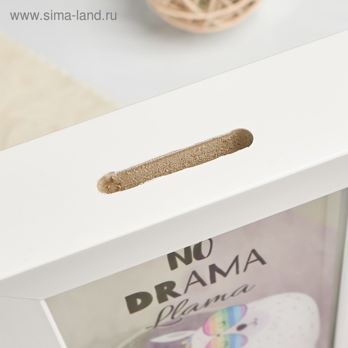 Копилка интерьерная пластик "Лама с кактусом, в очках" 17х12х3,8 см