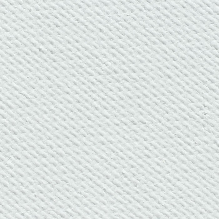 Холст на картоне 20 х 30 см, хлопок 100%, акриловый грунт, мелкозернистый, 280 г/м² "Гамма" "Студия"