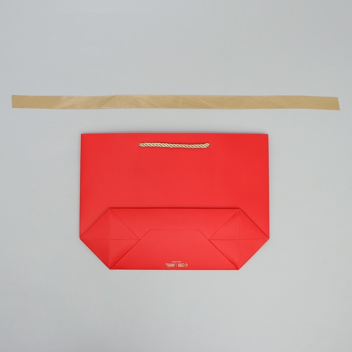 Пакет подарочный новогодний «Новогодние праздники», 19 х 20 х 9 см, Новый год Пакет подарочный новогодний «Новогодние праздники», 19 х 20 х 9 см, Новый год