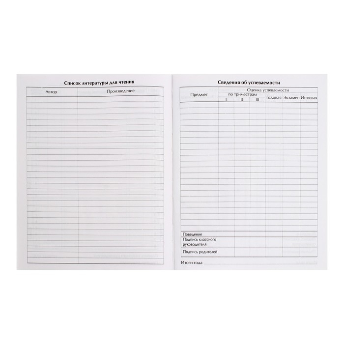 Дневник универсальный для 1-11 классов, Дневник универсальный для 1-11 классов, "Хаки", твердая обложка 7БЦ, глянцевая ламинация, 40 листов