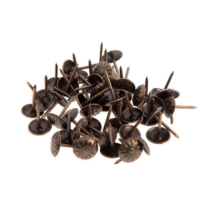 Гвозди ТУНДРА, декоративные, обивочные, фактурные, 11х16 мм, бронза, 100 шт Гвозди ТУНДРА, декоративные, обивочные, фактурные, 11х16 мм, бронза, 100 шт