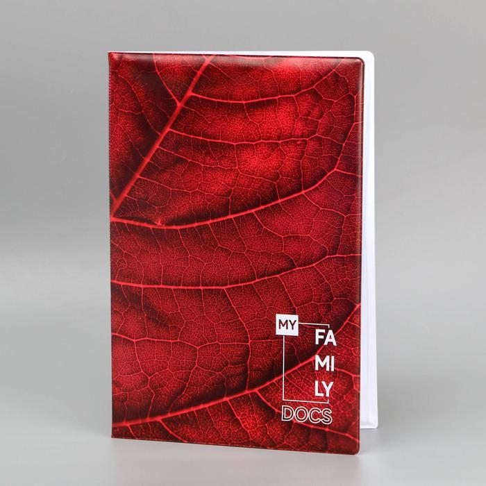 Папка для семейных документов «Docs», 8 файлов А4 Папка для семейных документов «Docs», 8 файлов А4