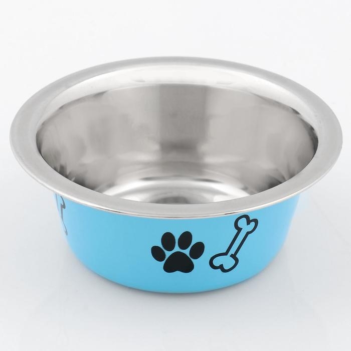 Миска стандартная цветная с принтом, 240 мл, голубая Миска стандартная цветная с принтом, 240 мл, голубая