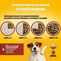 Сухой корм Pedigree для собак мелких пород, говядина, 13 кг